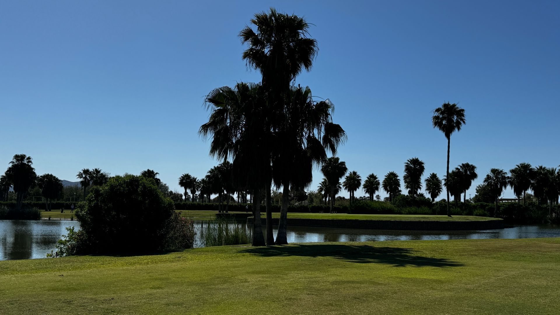 Los Moriscos Golfclub, Golfschule Granada