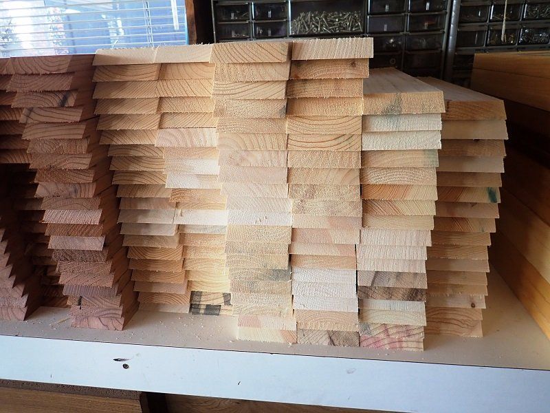 Insect Drawers