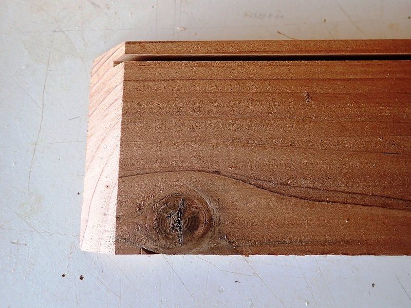 Insect Drawers
