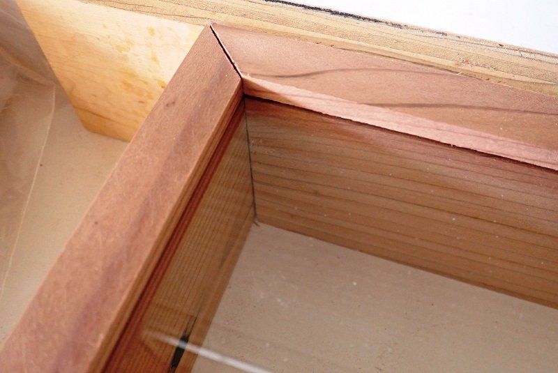 Insect Drawers