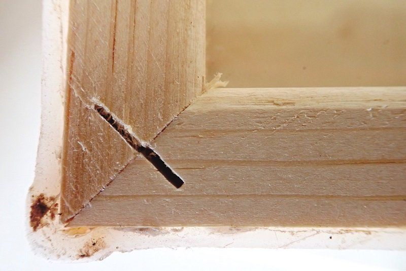 Insect Drawers