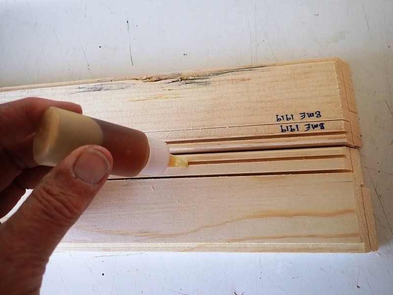 Insect Drawers