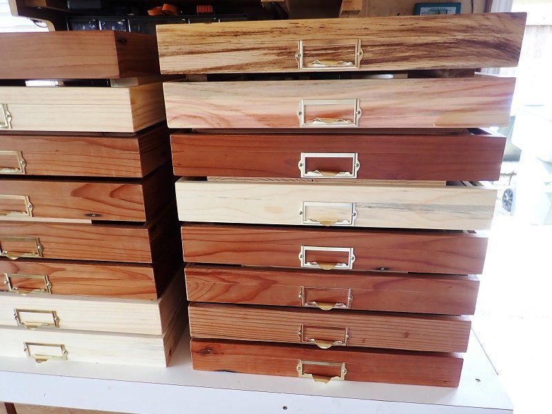 Insect Drawers