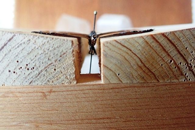 Spreading Boards