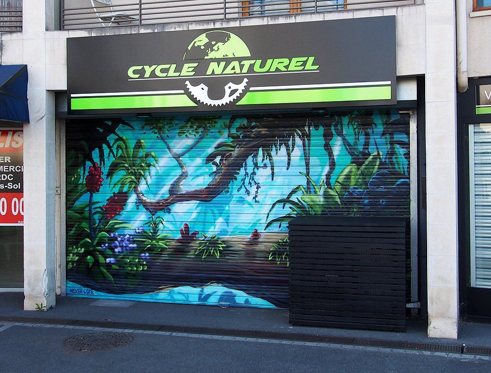 déco d'un store jungle