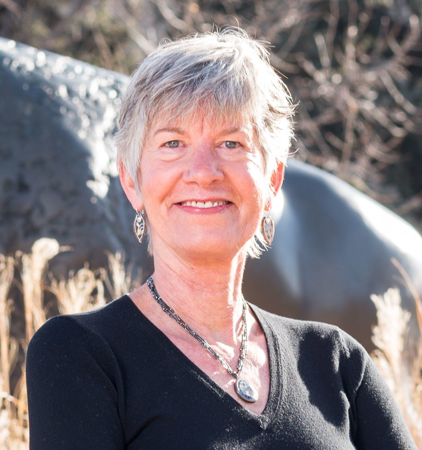Lesley Smith endorses Sally Boccella for Colorado