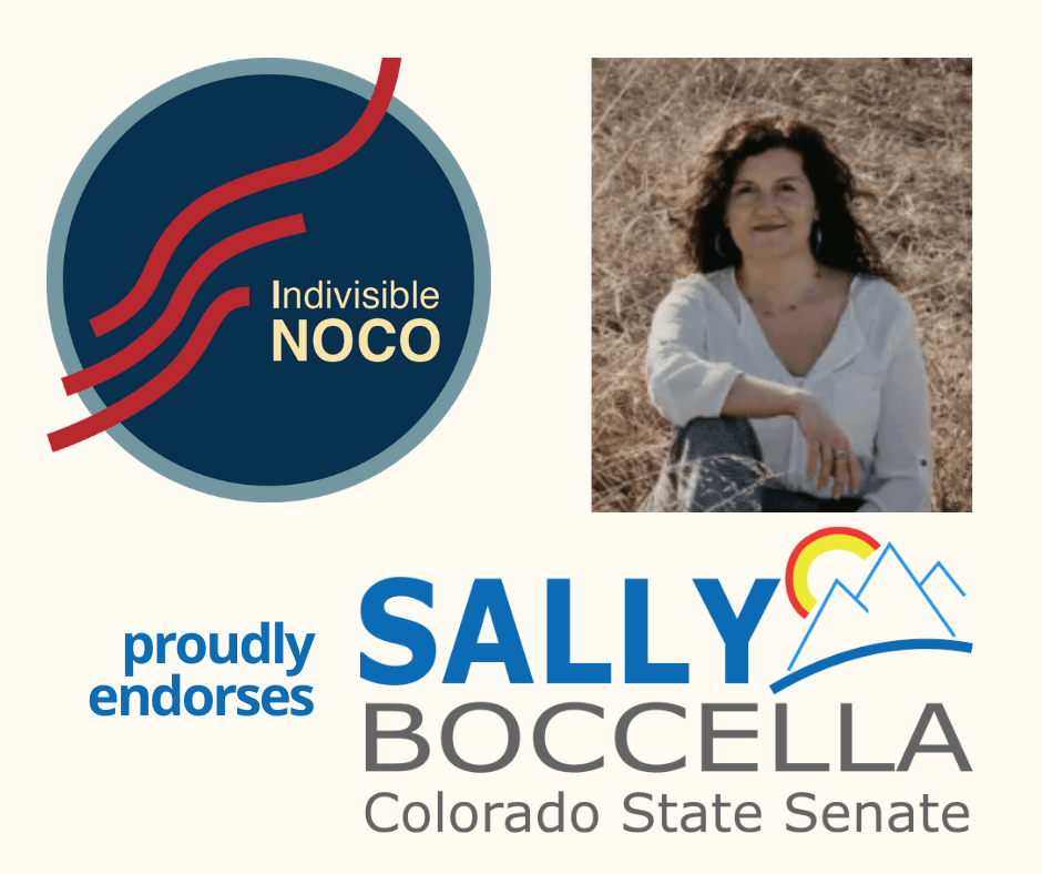 Indivisible NOCO endorses Sally Boccella for Colorado
