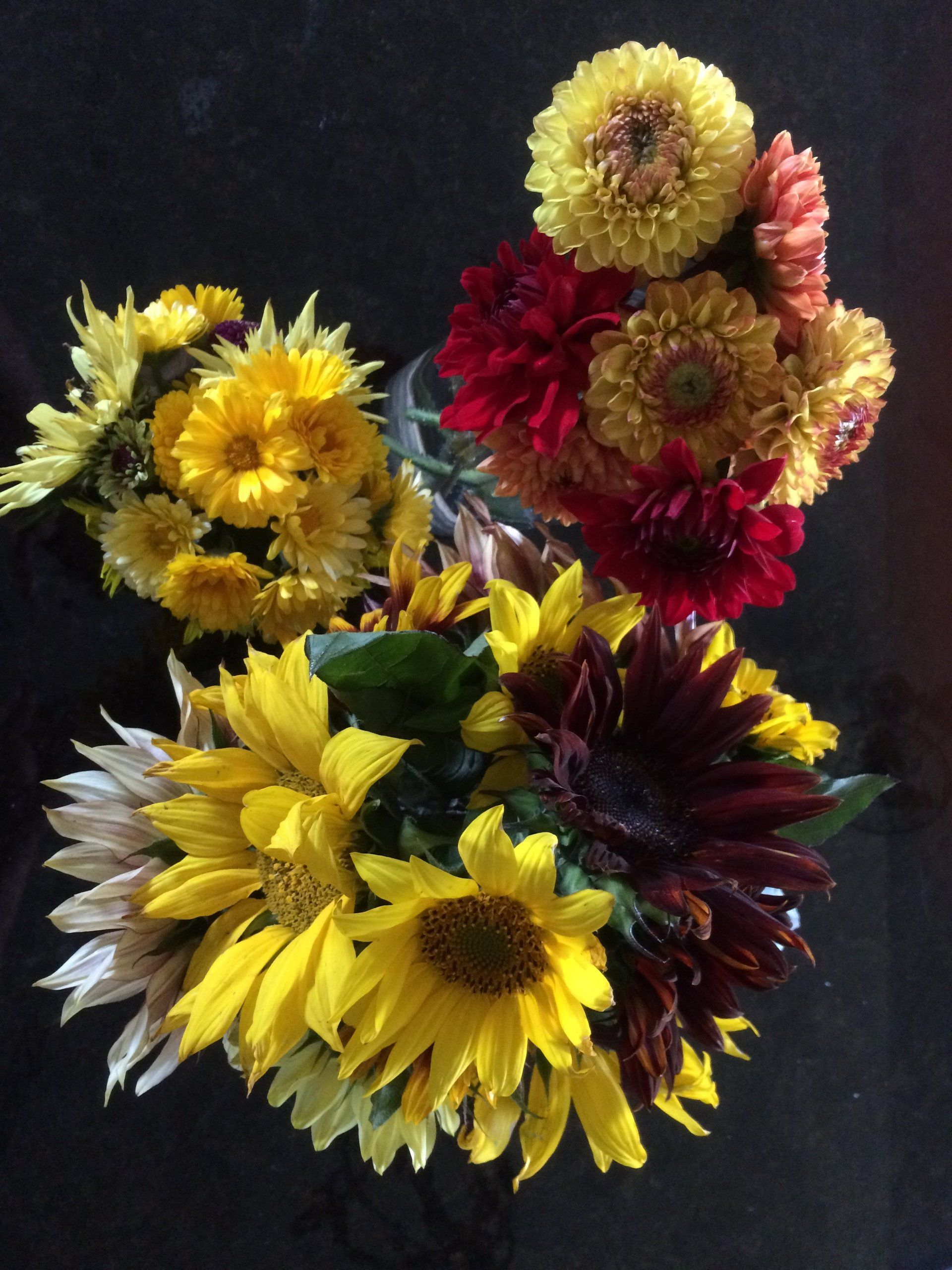 Cut Flowers