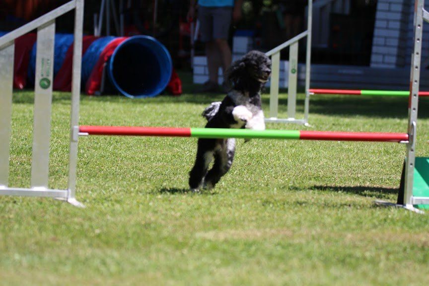 Agility