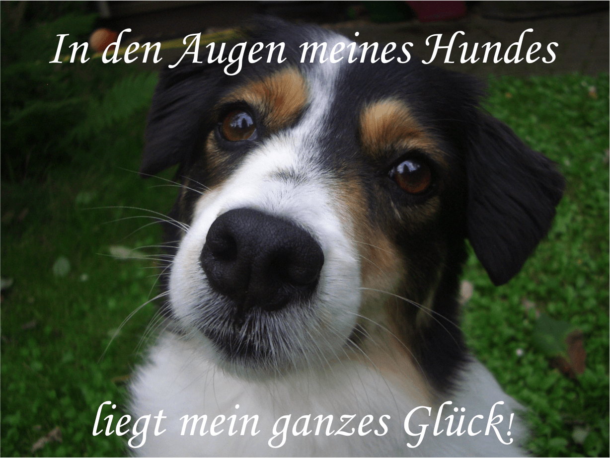 Get Glueckszitate For iPhone