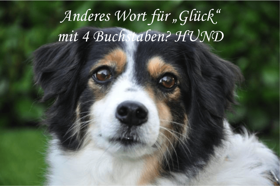 Get Glueckszitate For Free