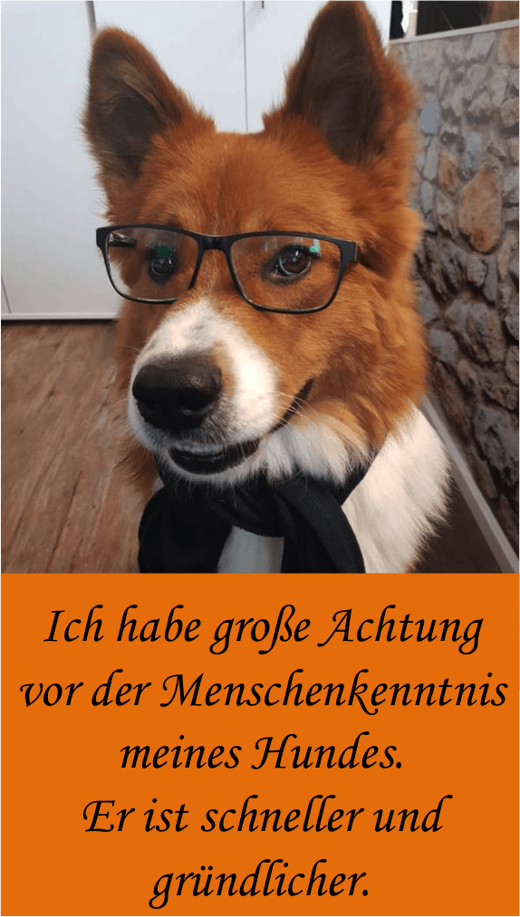 Get Sprueche ueber hunde zum nachdenken HD