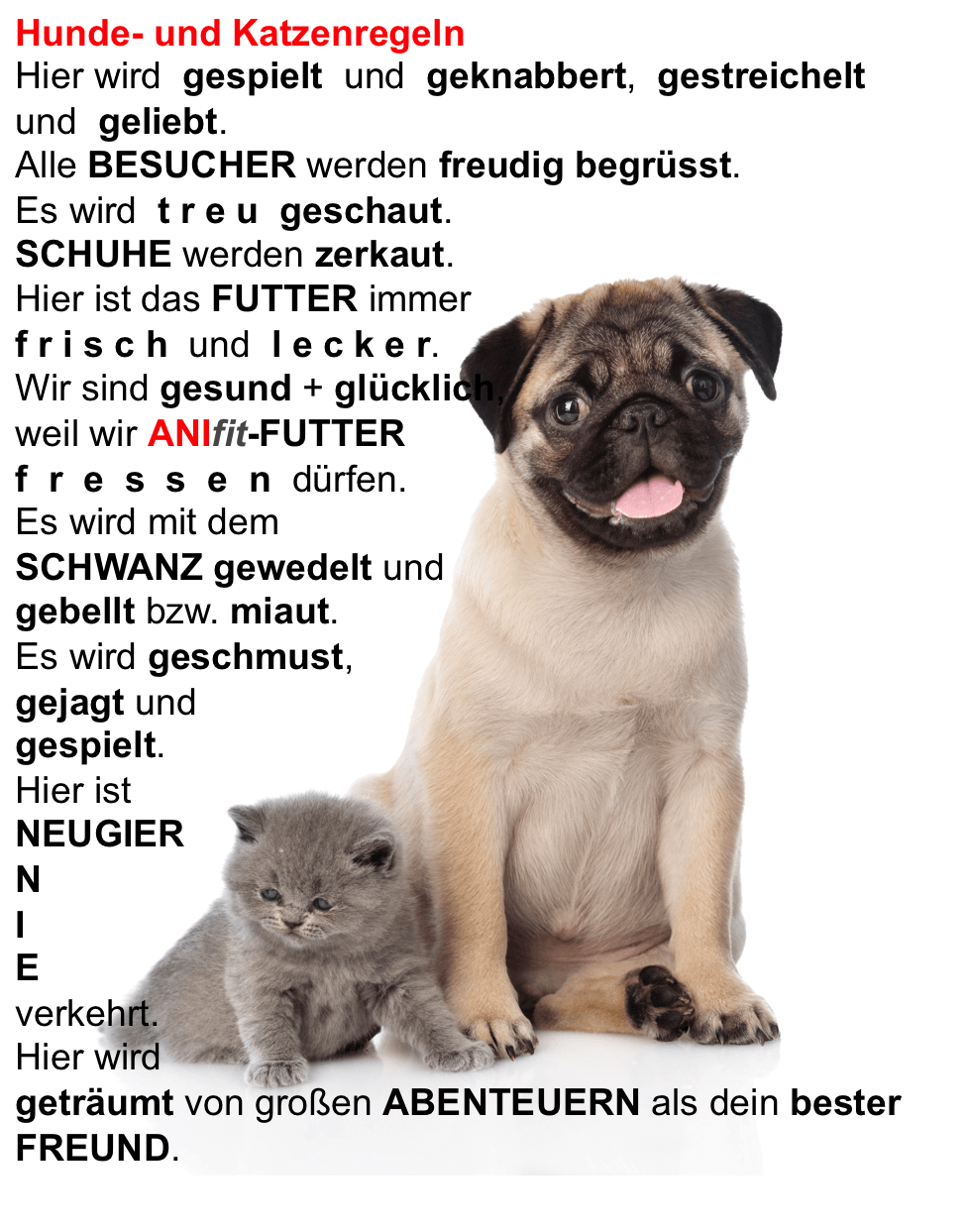 49++ Sprueche hund mensch beziehung information