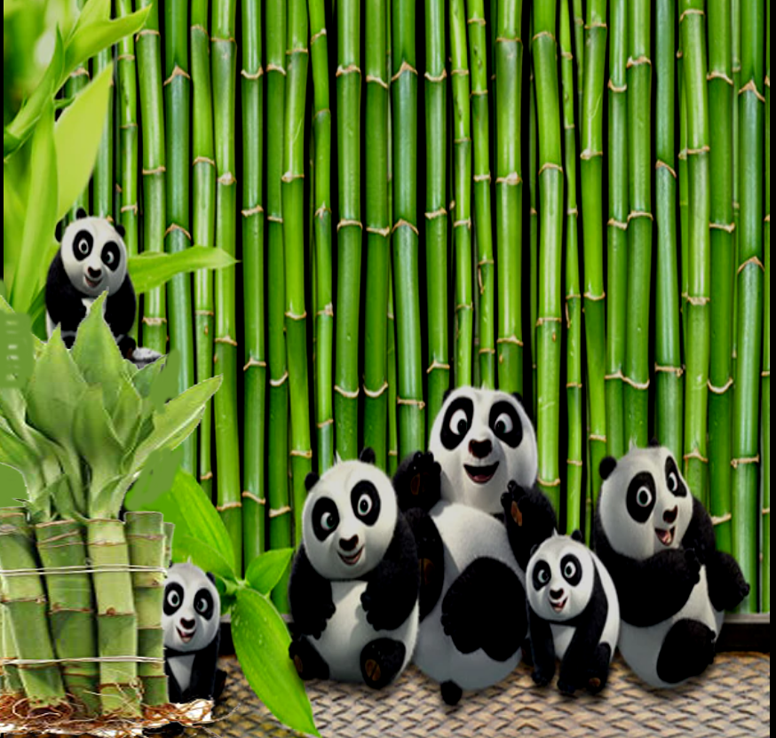 Save the planet, feed a Panda!