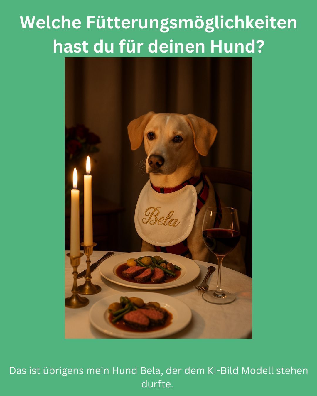 Beratungsgespräch zur Tierernährung am Schreibtisch