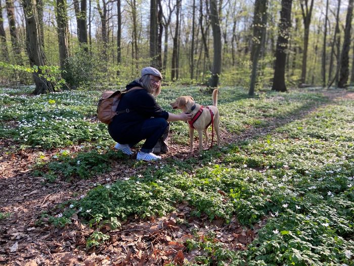 Futtersprache mit Doris, Ernährungsberaterin für Hundenahrung, kranke und gesunde Hunde