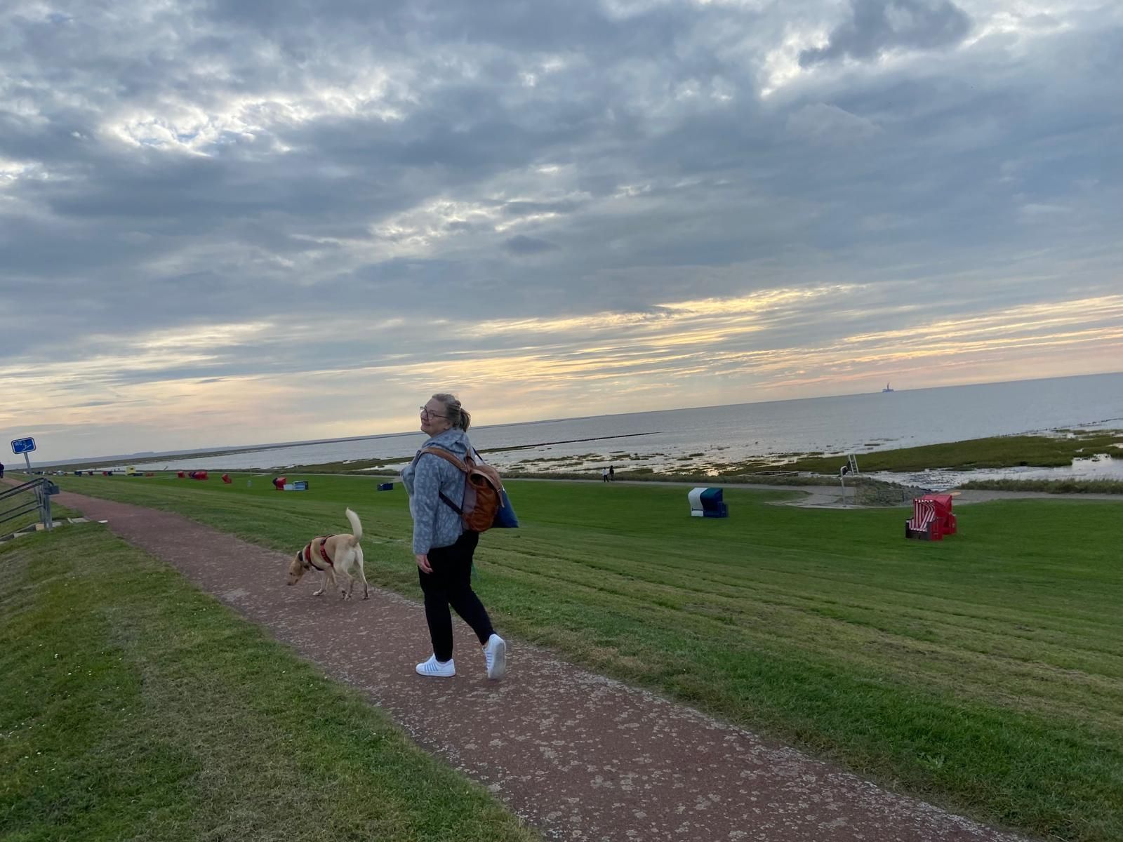 Ernährungsberaterin hält Futterplan für einen Hund