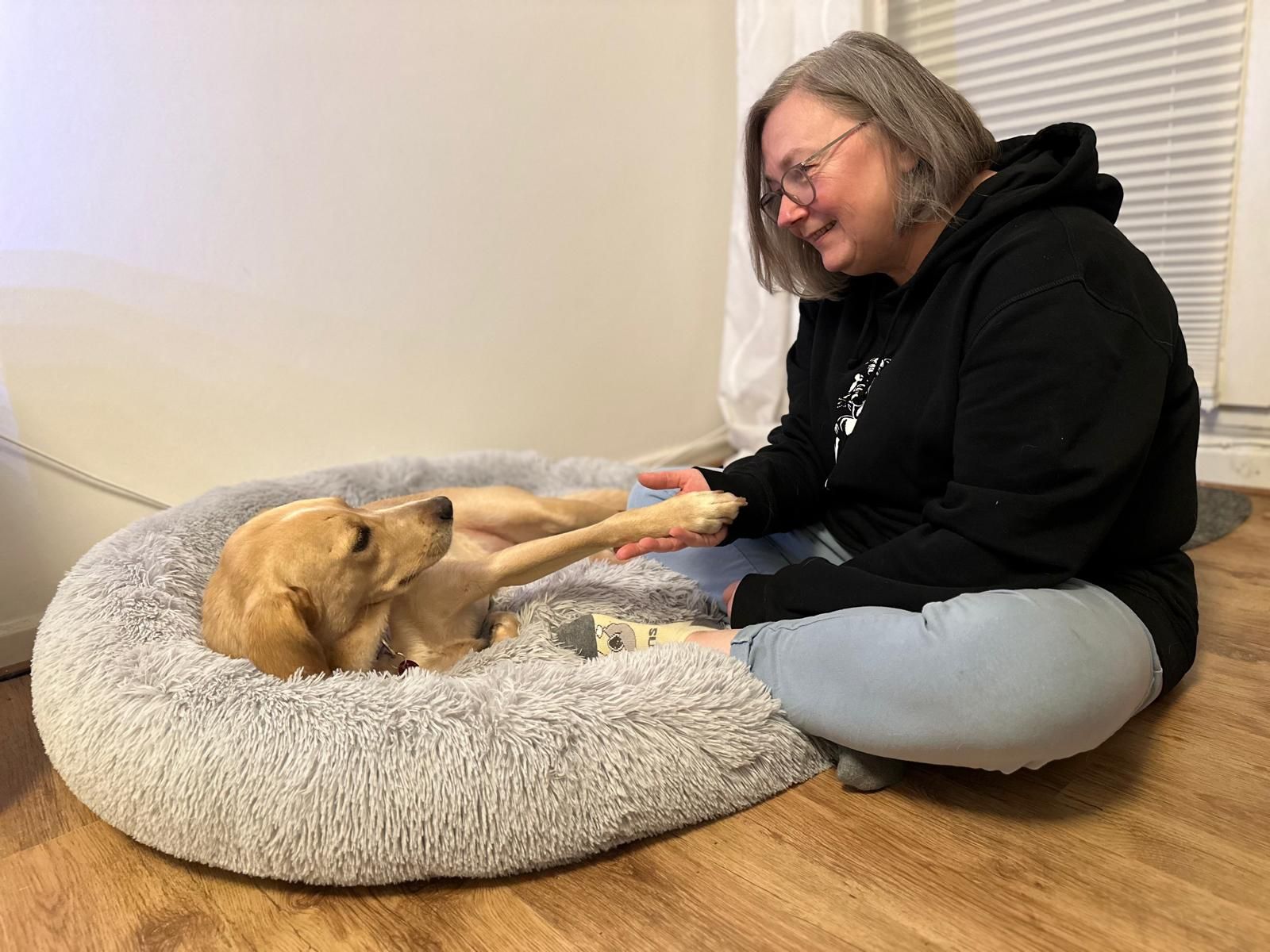 Hund mit glänzendem Fell nach erfolgreicher Futterumstellung