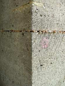 Rauchen macht schlank