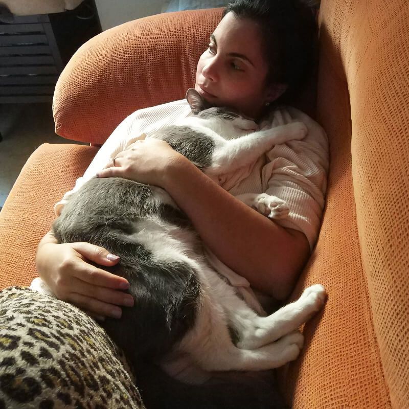 Gato Bort acompañados de mujer de la iniciativa Bigotes Solidarios