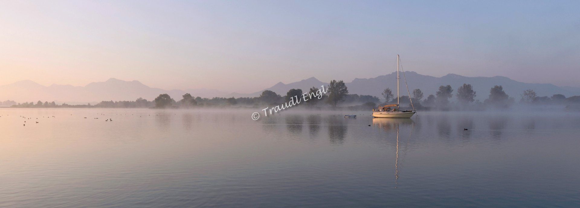 Seenlandschaft, Morgenstimmung, Tagesanbruch, Morgenlicht, Segelboot ankernd, Morgendämmerung, Wasserspiegelung, Bergsilhouette, Chiemsee, Bayerisches Meer, Chiemgau, Chiemgauer Alpen, Bayern, Deutschland, Europa, Traudl Engl