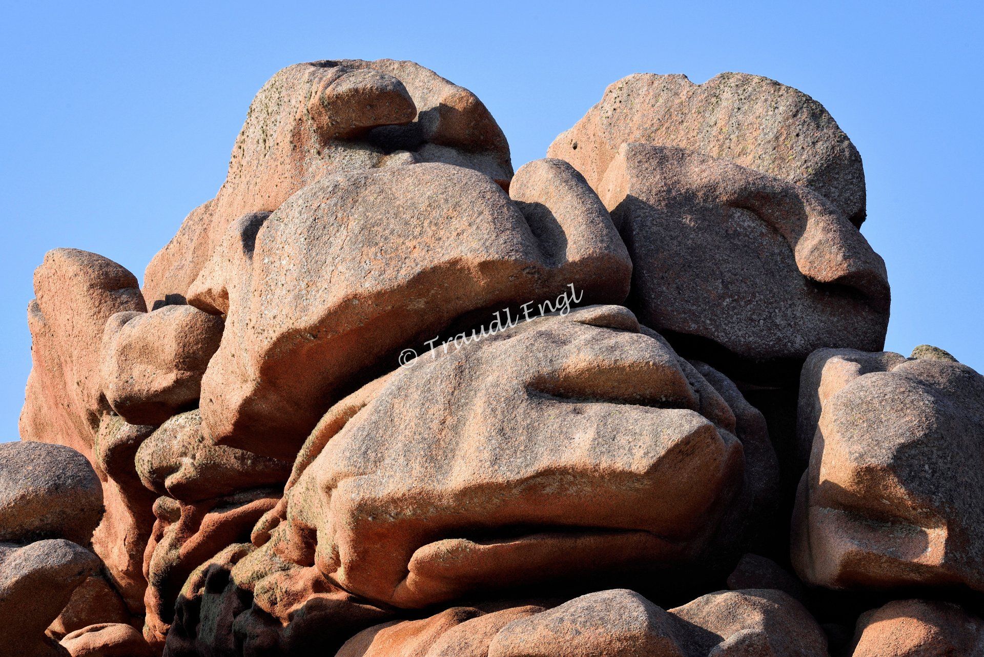 Granitgestein rosa, Felsbrocken Granit, Felsenküste Detail, Rosa Granitküste, Bretagne, Frankreich, Europa, Traudl Engl