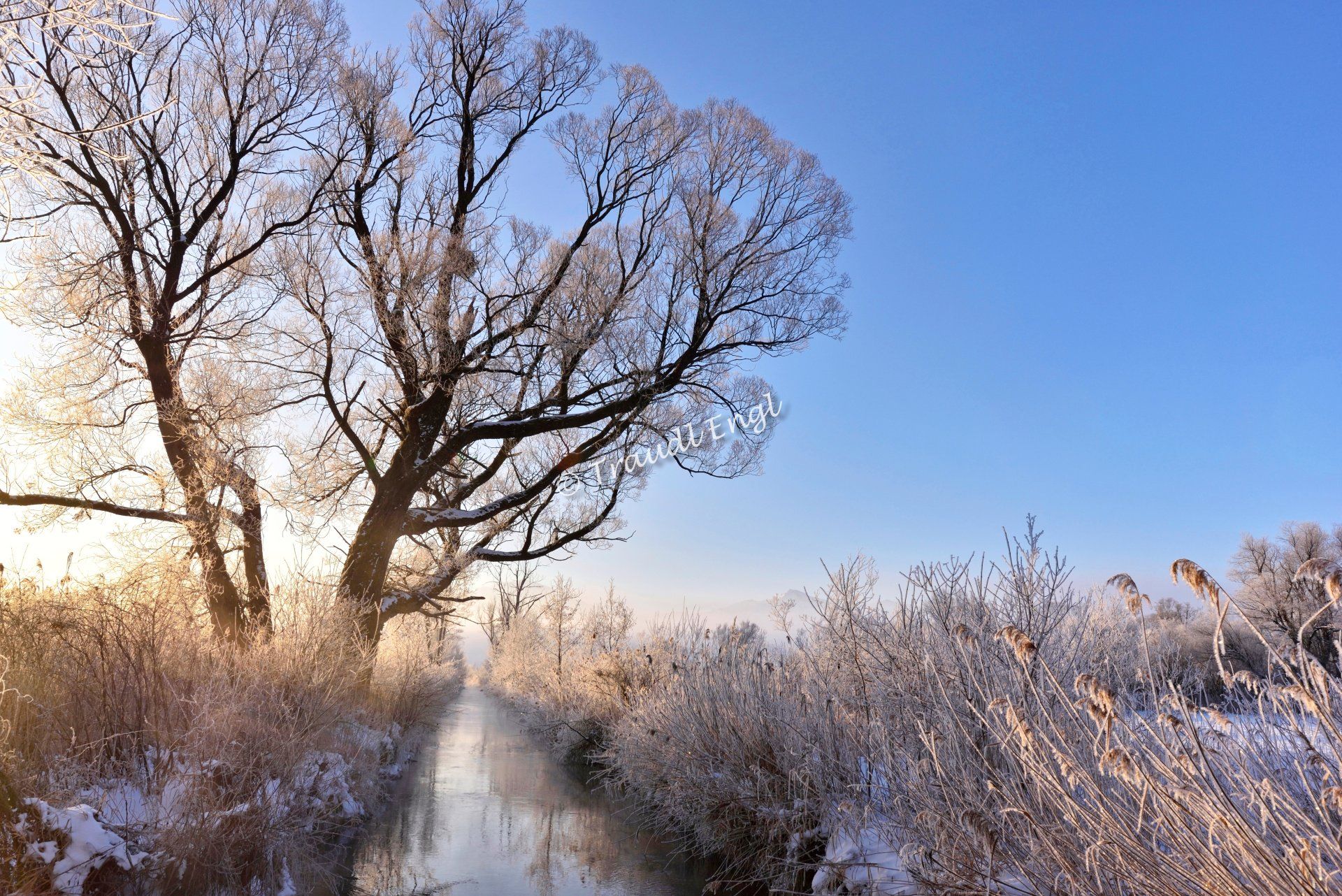 Winterlandschaft, Moorlandschaft im Winter, Frost, Eiseskälte, Moorvegetation, Morgenlicht, Morgensonne, Wintersonne, Schilfflächen, Raureif, Moorbach, Fließgewässer, Grabenstätter Mühlbach, Grabenstätter Moos, Naturschutzgebiet, Chiemgau, Bayern, Deutschland, Europa, Traudl Engl