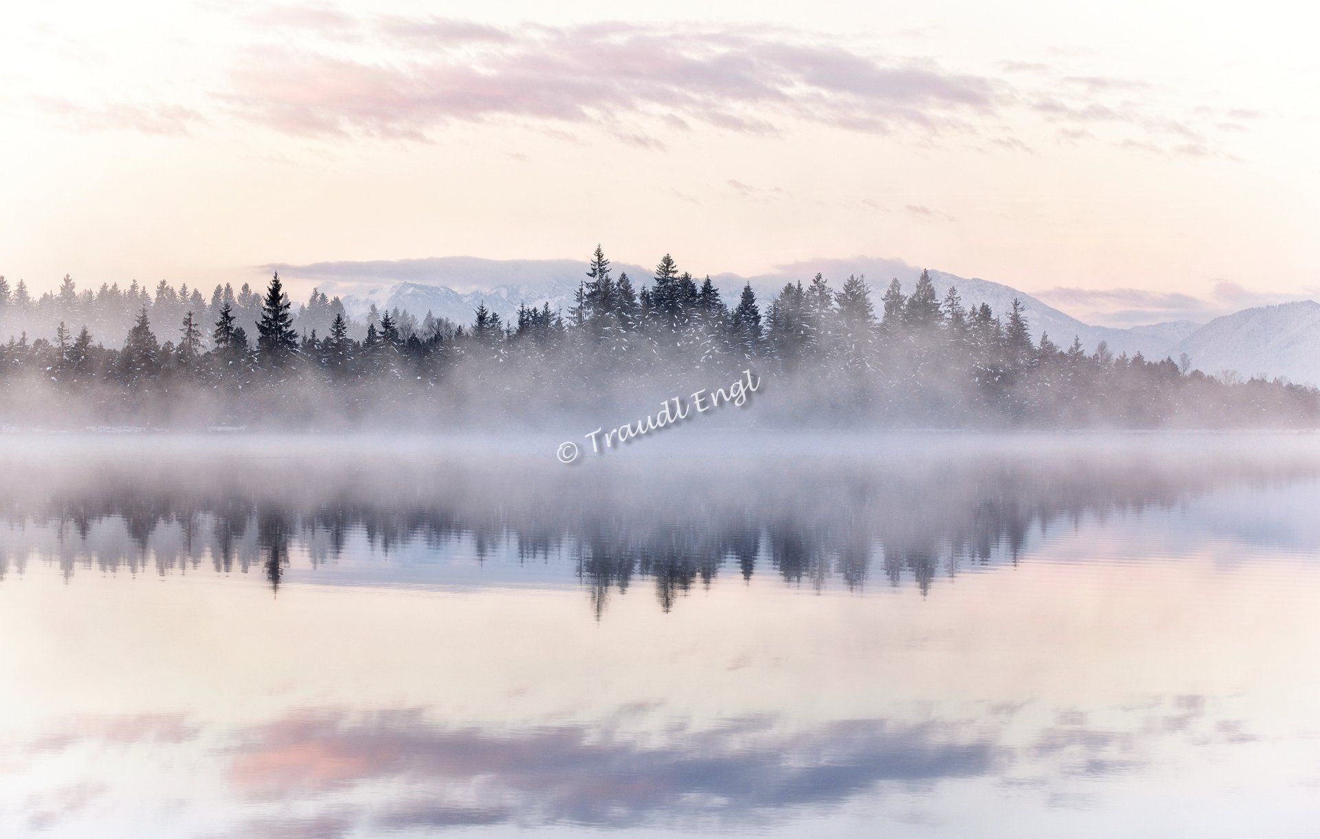 Seenlandschaft, Moorsee, Morgenstimmung, Tagesanbruch, Morgenlicht, Natursee, Nebel aufsteigend, Morgennebel, Ufervegetation, Wald, Nadelwald, Wasserspiegelung, Kirchsee, Bayern, Deutschland, Europa, Traudl Engl