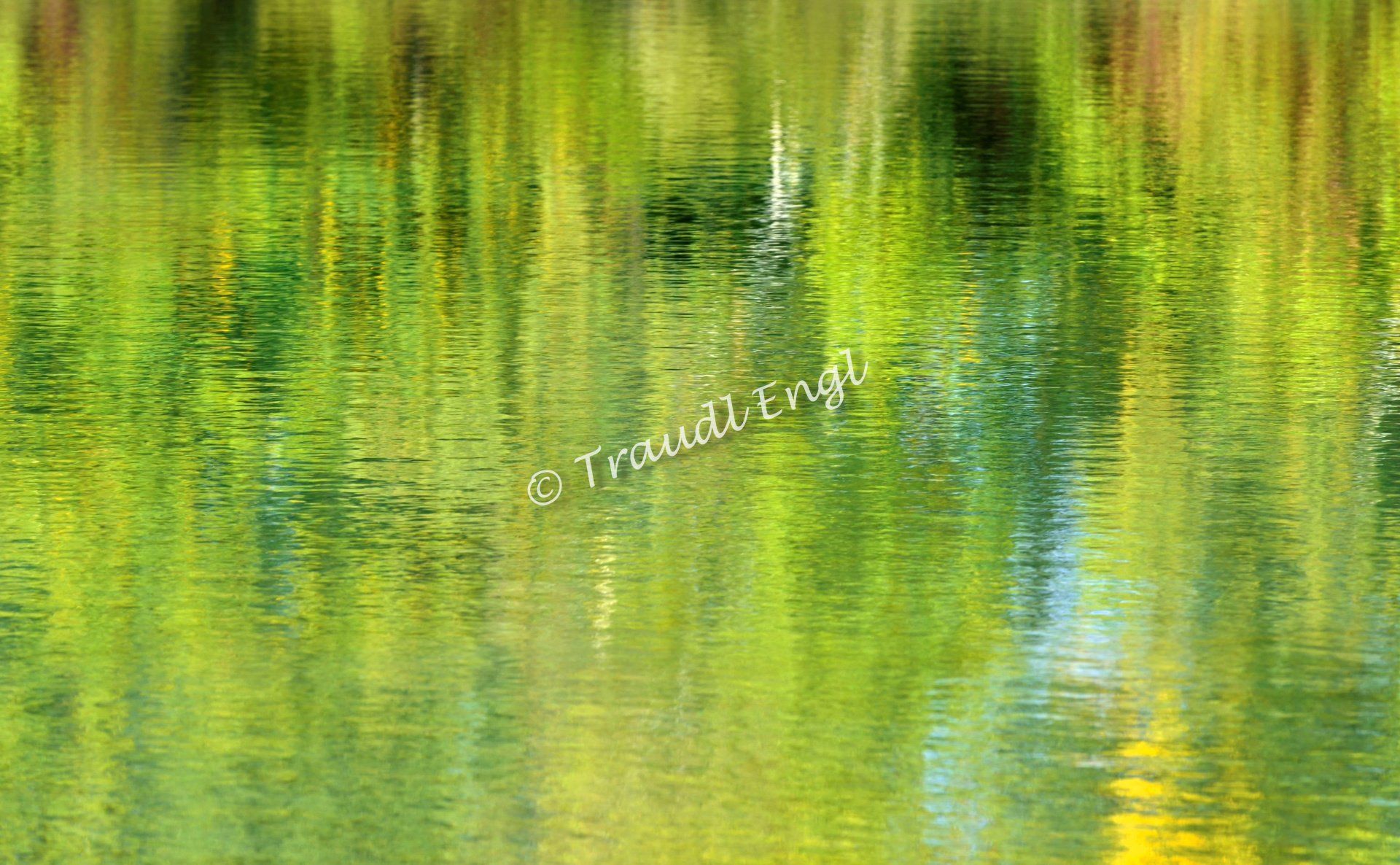 Wasseroberfläche, Wasserspiegelung abstrakt, Wasserkräuselung, hellgrün-grün-gelb-blau, Traudl Engl