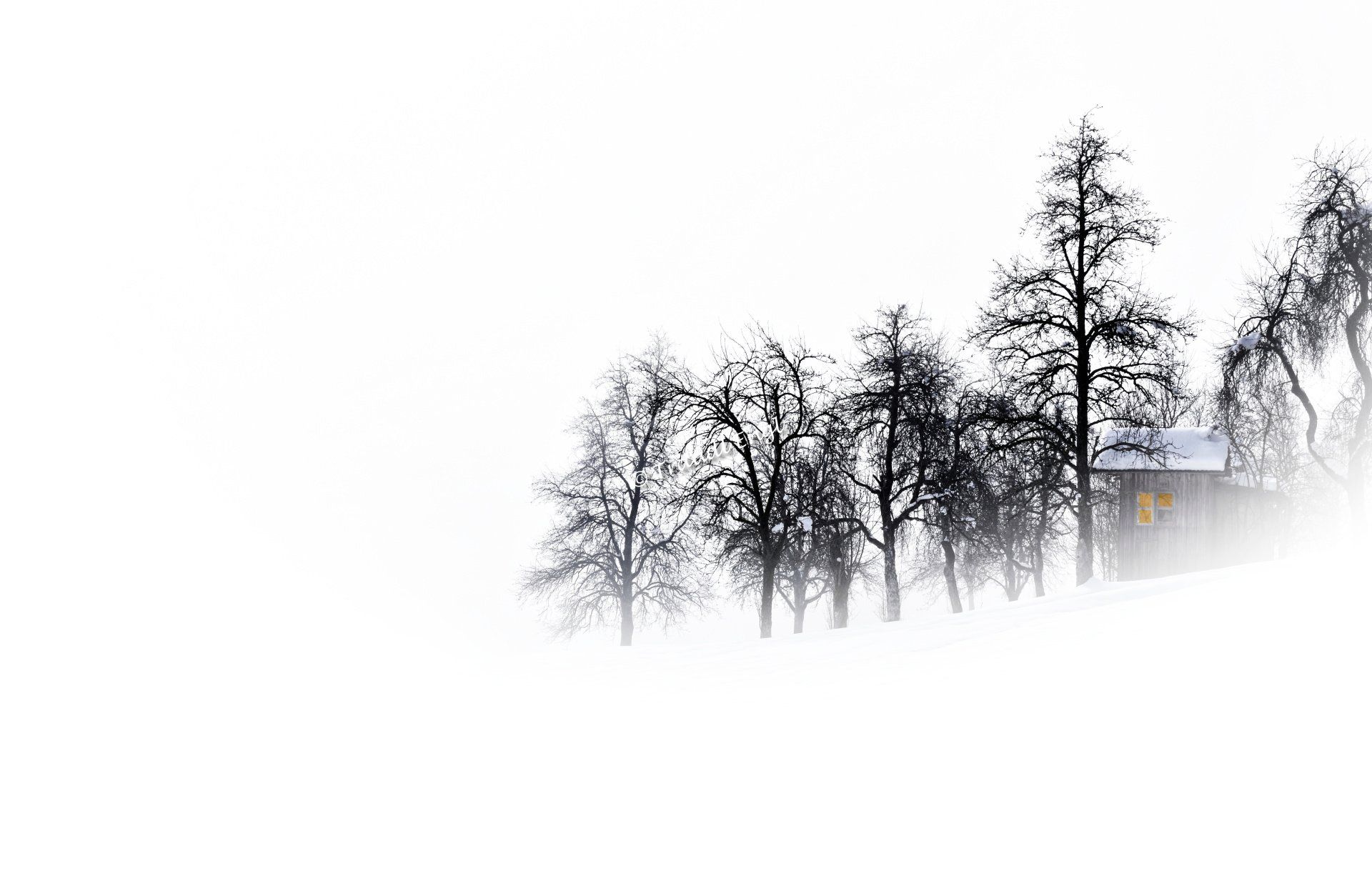 Winterlandschaft im Nebel, Nebel, Baumgruppe unbelaubt, Holzhütte, Berghang, Schnee, Traudl Engl