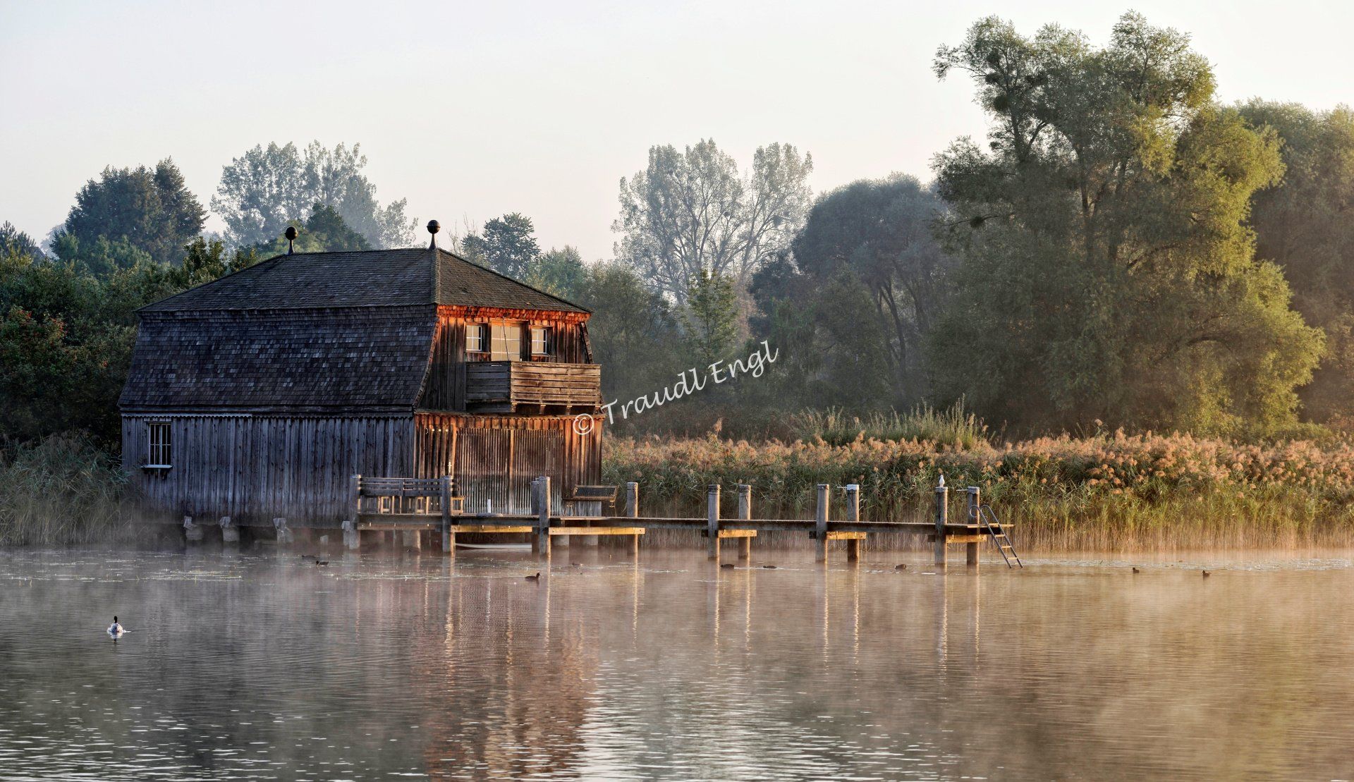 Seenlandschaft, Bootshaus, Chiemsee, Bayerisches Meer, Morgenstimmung, Nebel aufsteigend,Morgenlicht, Morgennebel, Chiemgau, Bayern, Deutschland, Europa, Traudl Engl