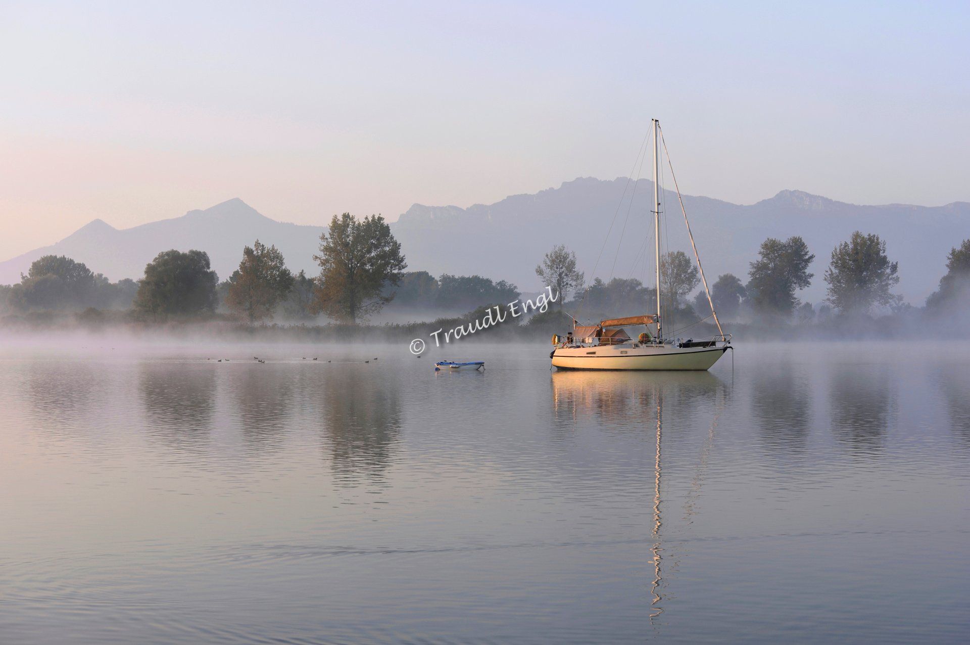 Seenlandschaft, Morgenlicht, Morgenstimmung, Segelboot ankernd, Morgenruhe, erste Sonnenstrahlen, Ufervegetation, Chiemsee, Bayerisches Meer, Chiemgau, Chiemgauer Berge, Bayern, Deutschland, Europa, Traudl Engl