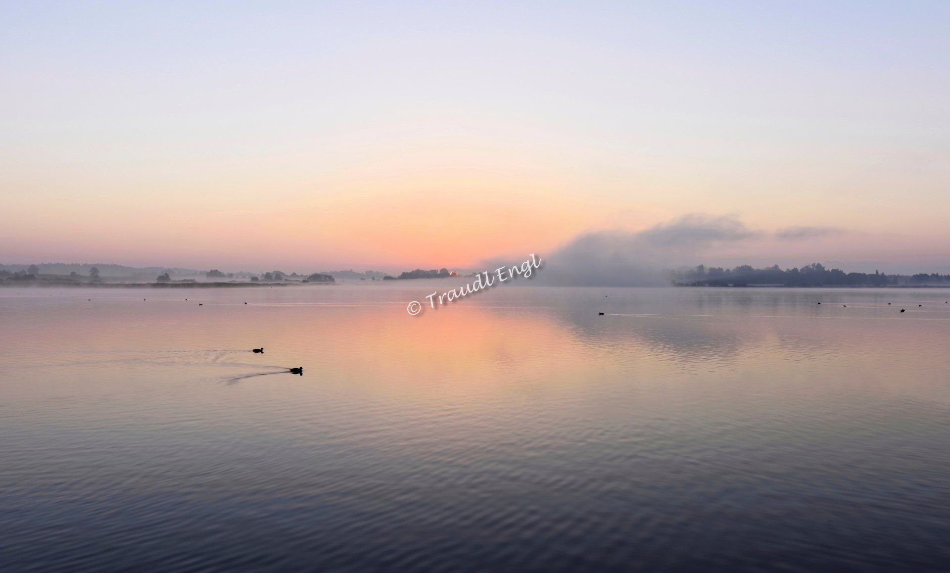 Morgenstimmung am Chiemsee, Sonnenaufgang, Morgenlicht, Bayerisches Meer, Chiemgau, Gewässer, Bayern, Deutschland, Europa, Traudl Engl
