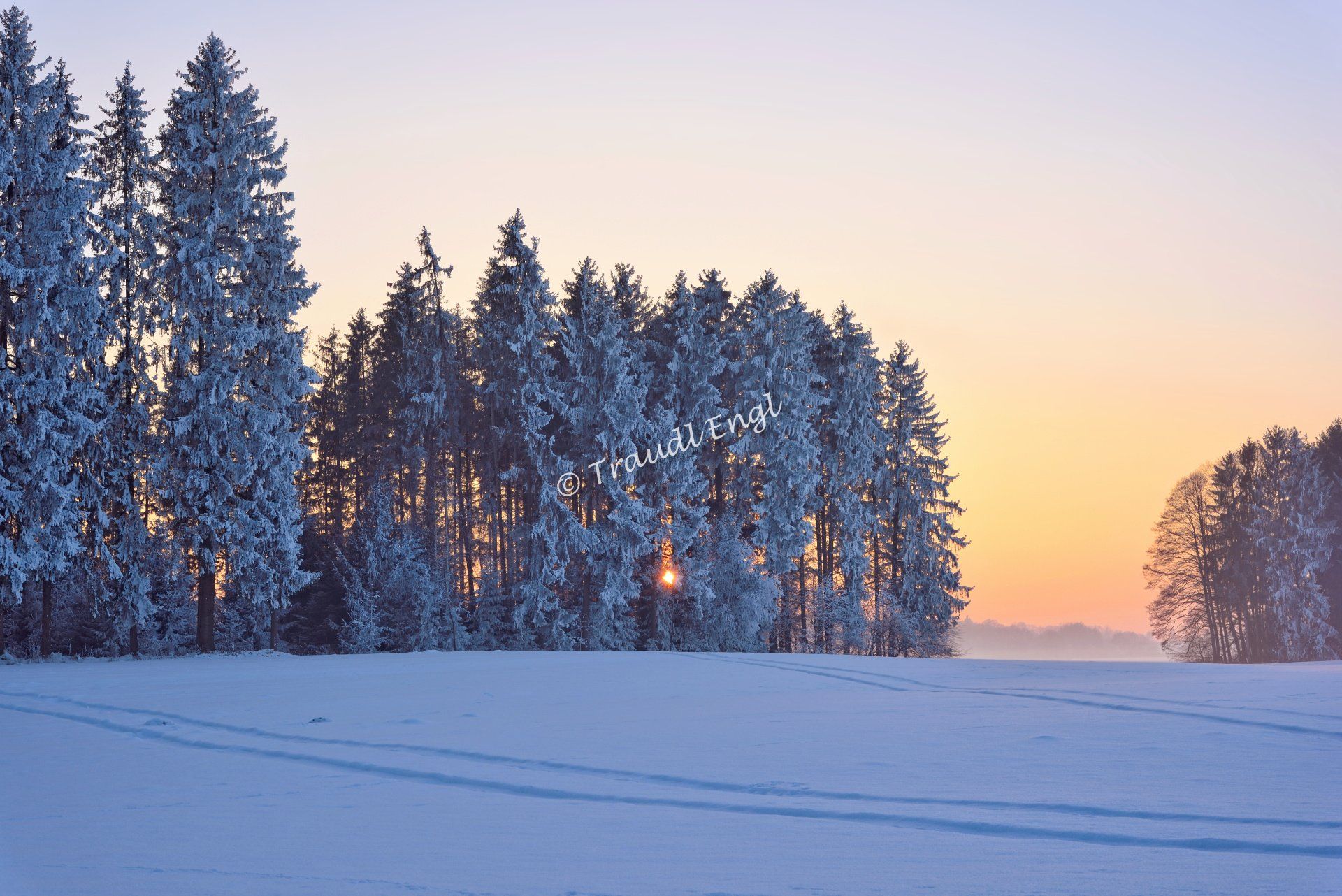 Winterlandschaft, Abendsonne untergehend, winterliche Abendstimmung, Abendlicht, Wald, Frost, Kälte, Schnee, Raureif, Traudl Engl