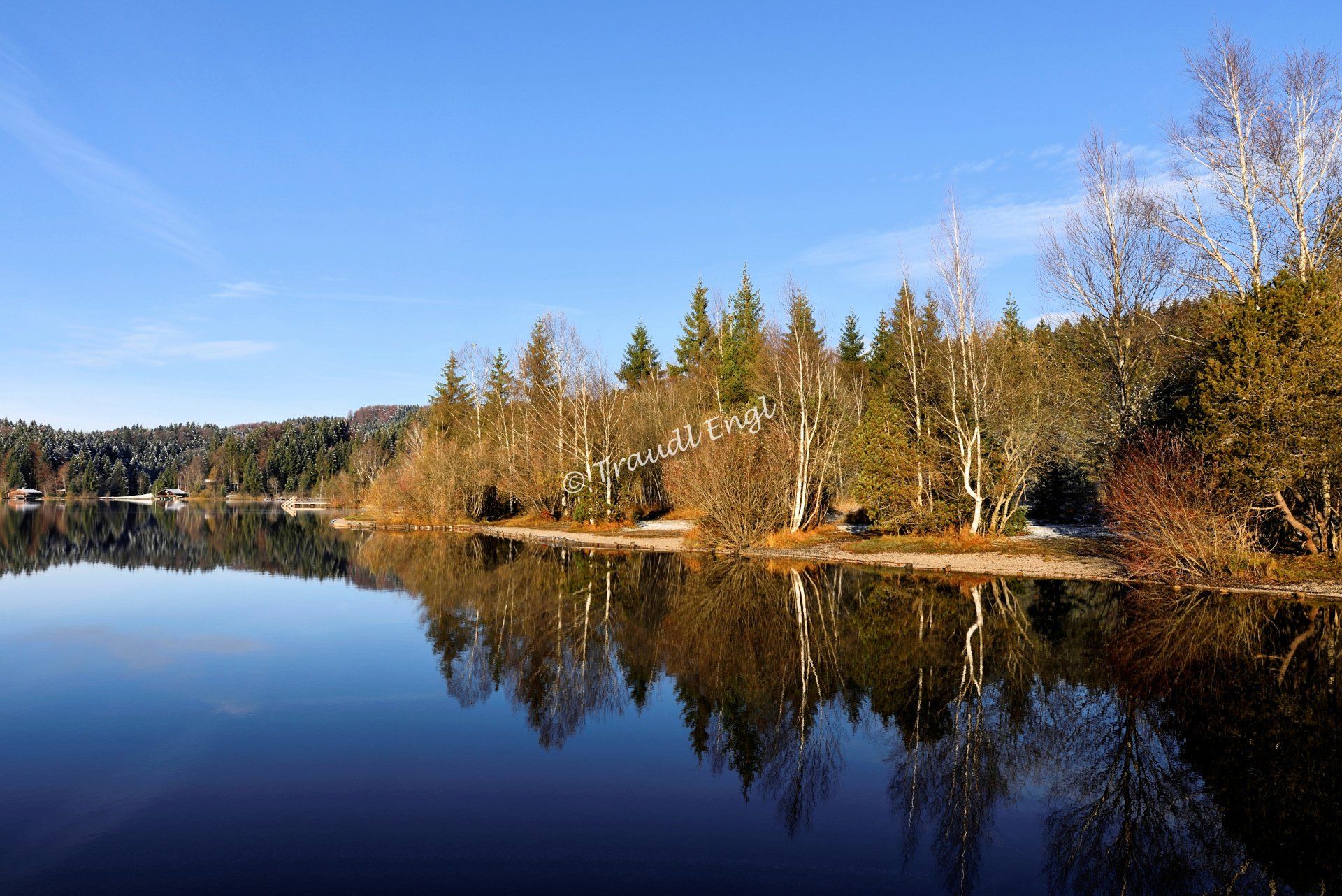 Seenlandschaft, Moorsee, Natursee, Ufervegetation,Herbststimmung, Wasserspiegelung, Wald, Kirchsee, Bayern, Deutschland, Europa, Traudl Engl