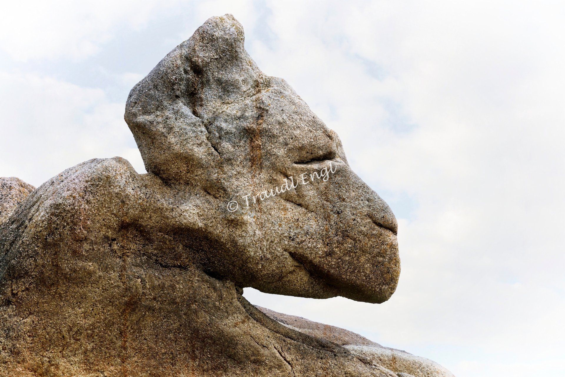 Steinkoloss, Felskoloss, Felsküste Detail, Steinküste, Formkraft des Meeres, Cote des Legendes, Bretagne, Frankreich, Europa, Traudl Engl