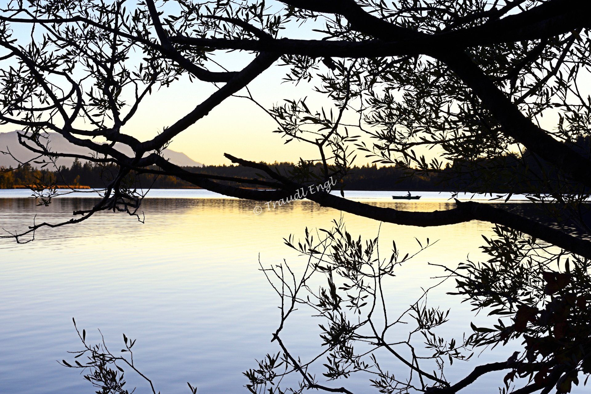 Abendstimmung am See, Fischerboot, Abendruhe, Angler im Boot, Natursee, Gewässer, Moorsee, Waldsilhouette, Kirchsee, Bayern, Deutschland, Europa, Traudl Engl