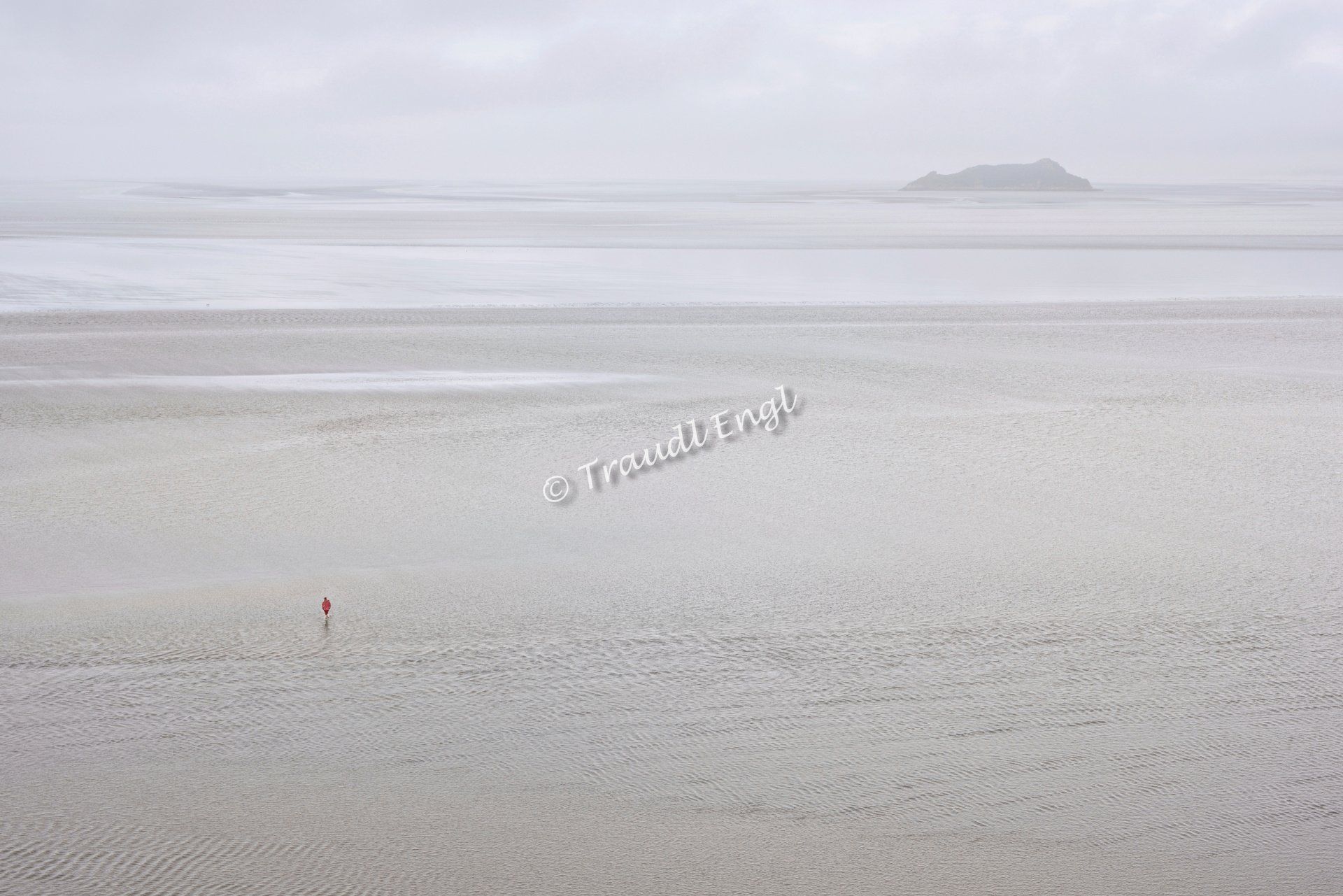 Wattenmeer, Niedrigwasser, Ebbe, Schlick, Insel Tombelaine,  Bucht von Mont-St-Michel, Normandie, Frankreich, Europa, Traudl Engl