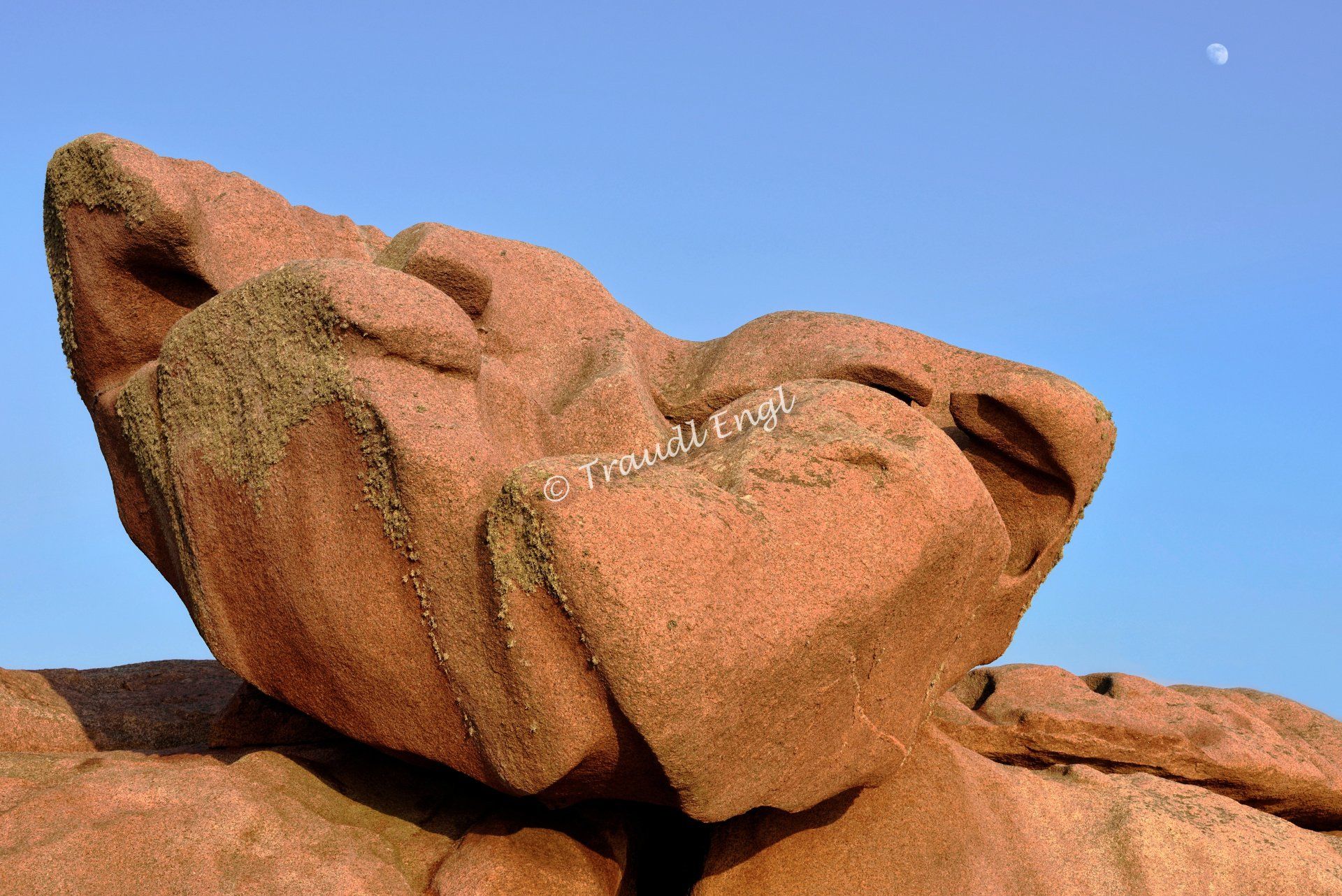 Meeresküste Detail, Felsenküste, Steinküste, Granitfelsen, Granitgestein, rosa Granit, Bretagne, Frankreich, Europa, Traudl Engl