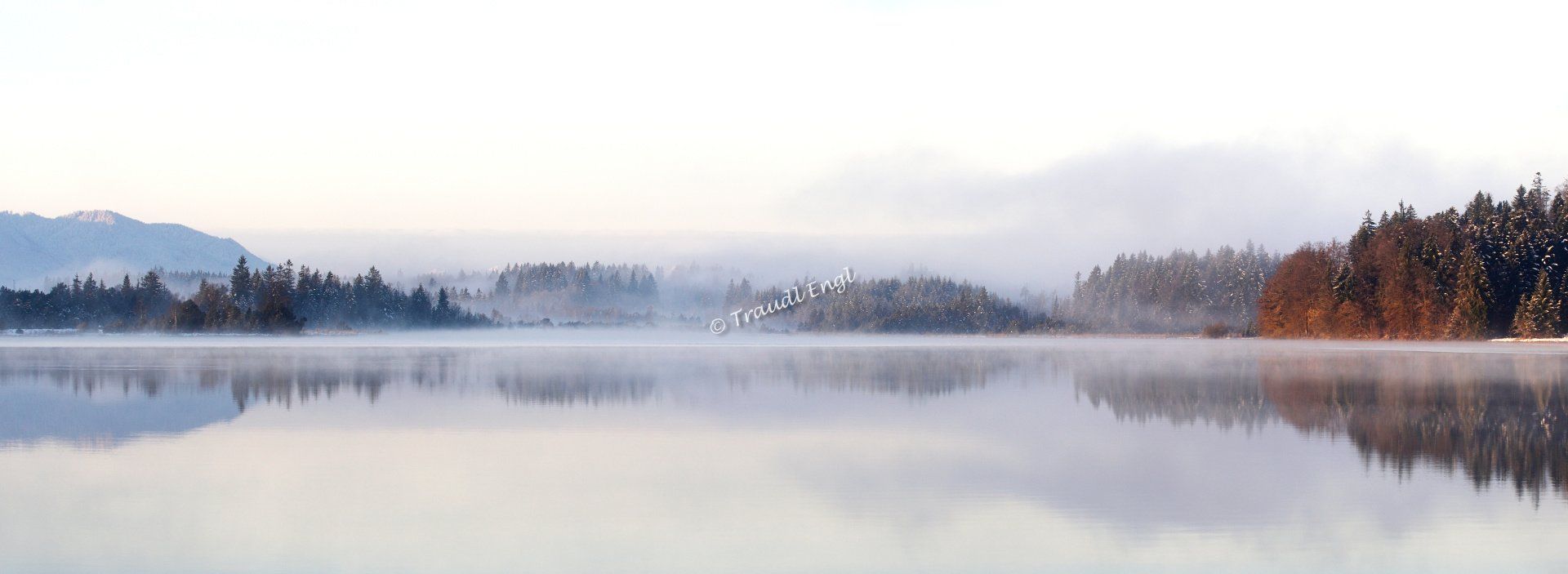 Seenlandschaft, Moorsee, Natursee, Morgenstimmung, Morgenlicht, Ufervegetation, Nebelschwaden, Nebel aufsteigend, Wald, Kirchsee, Bayern, Deutschland, Europa, Traudl Engl