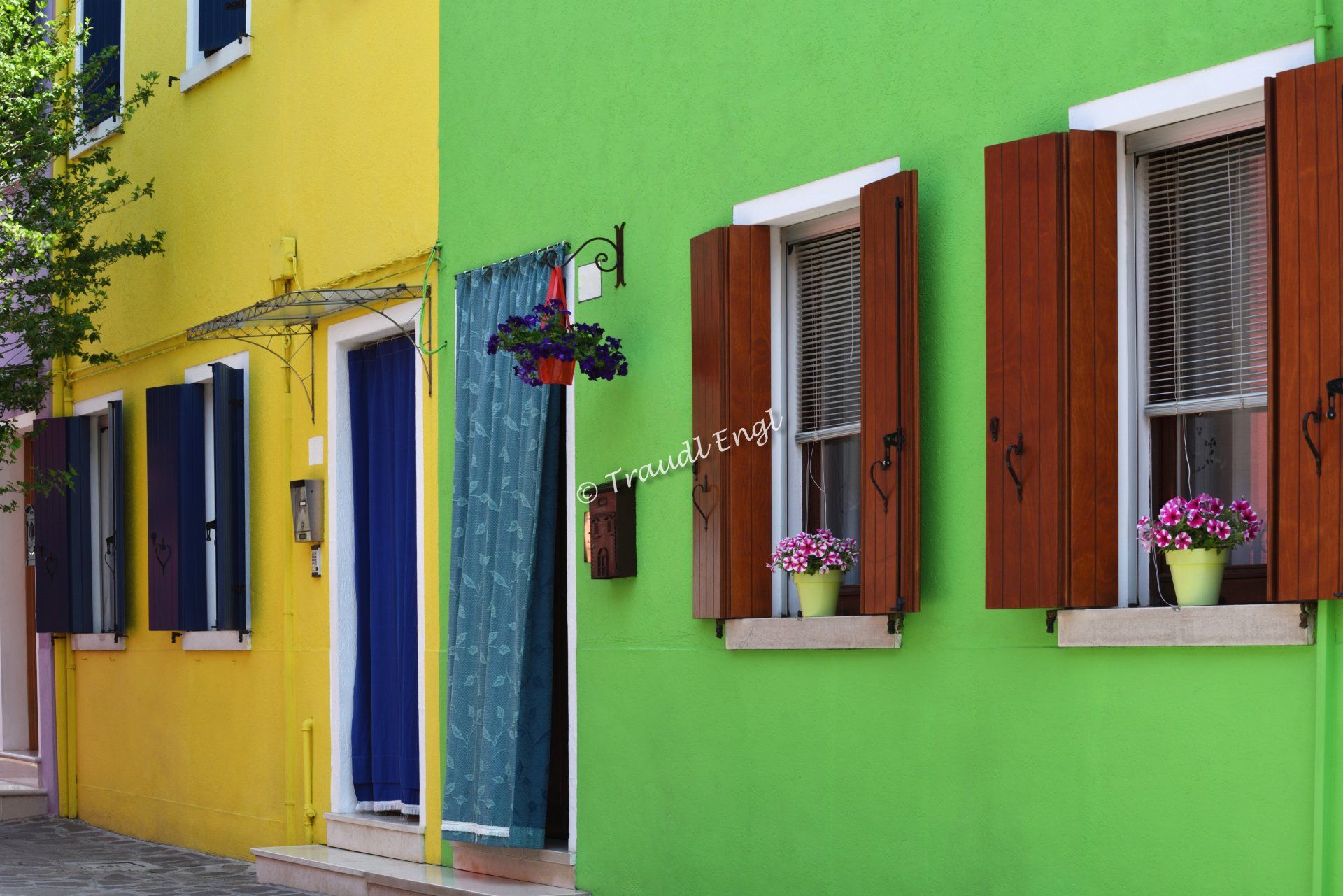 Hausfassaden gelb und grün, bunte Häuserfassaden, gelbes Haus, grünes Haus, Häuseransicht, Venedig Burano, Insel Burano, Venetien, Italien, Europa, Traudl Engl