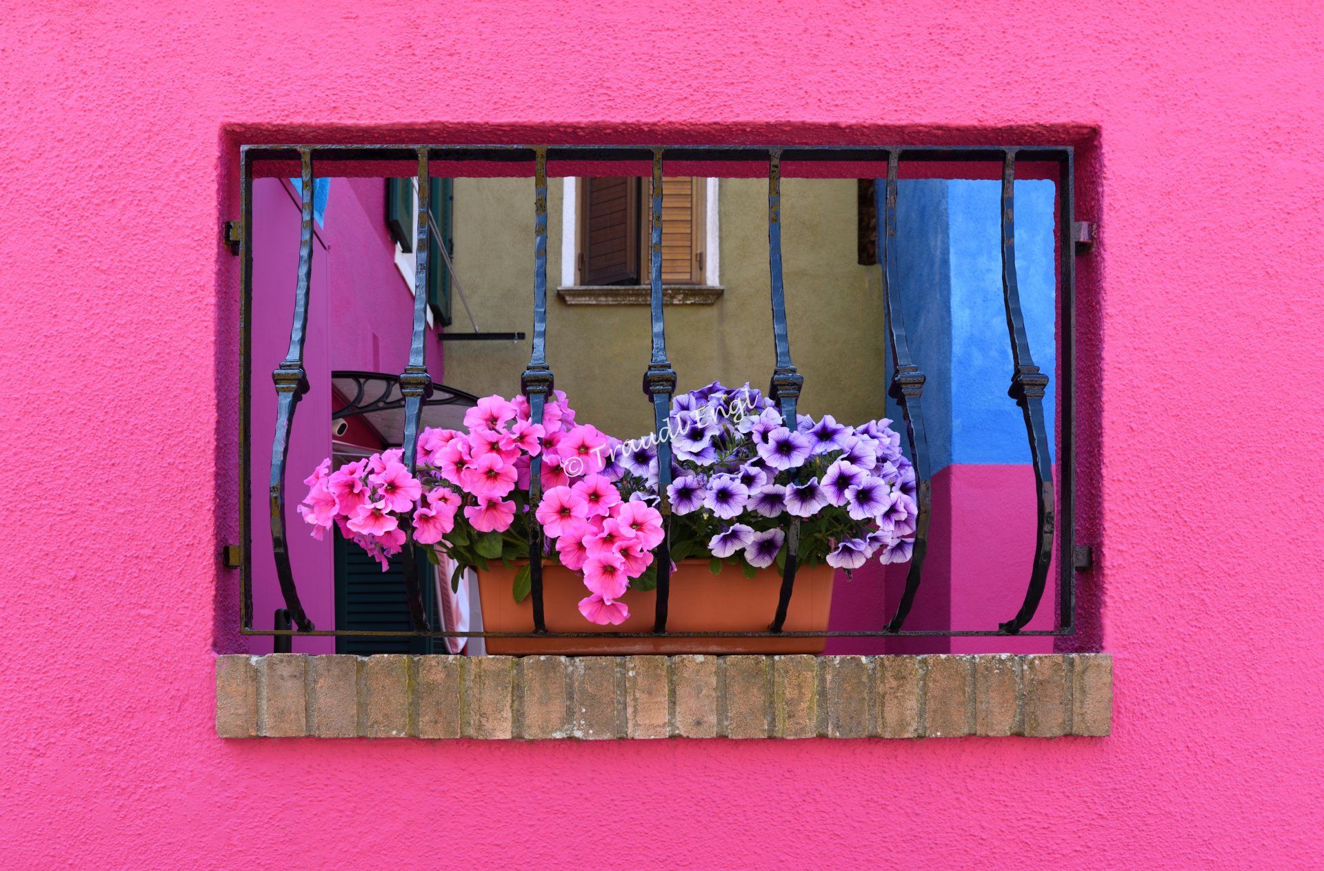 Fassadenfenster mit Blumenschmuck, Hausfassade Detail, Fenster zum Innenhof, vergittertes Fenster, bunte Hauswände, Traudl Engl