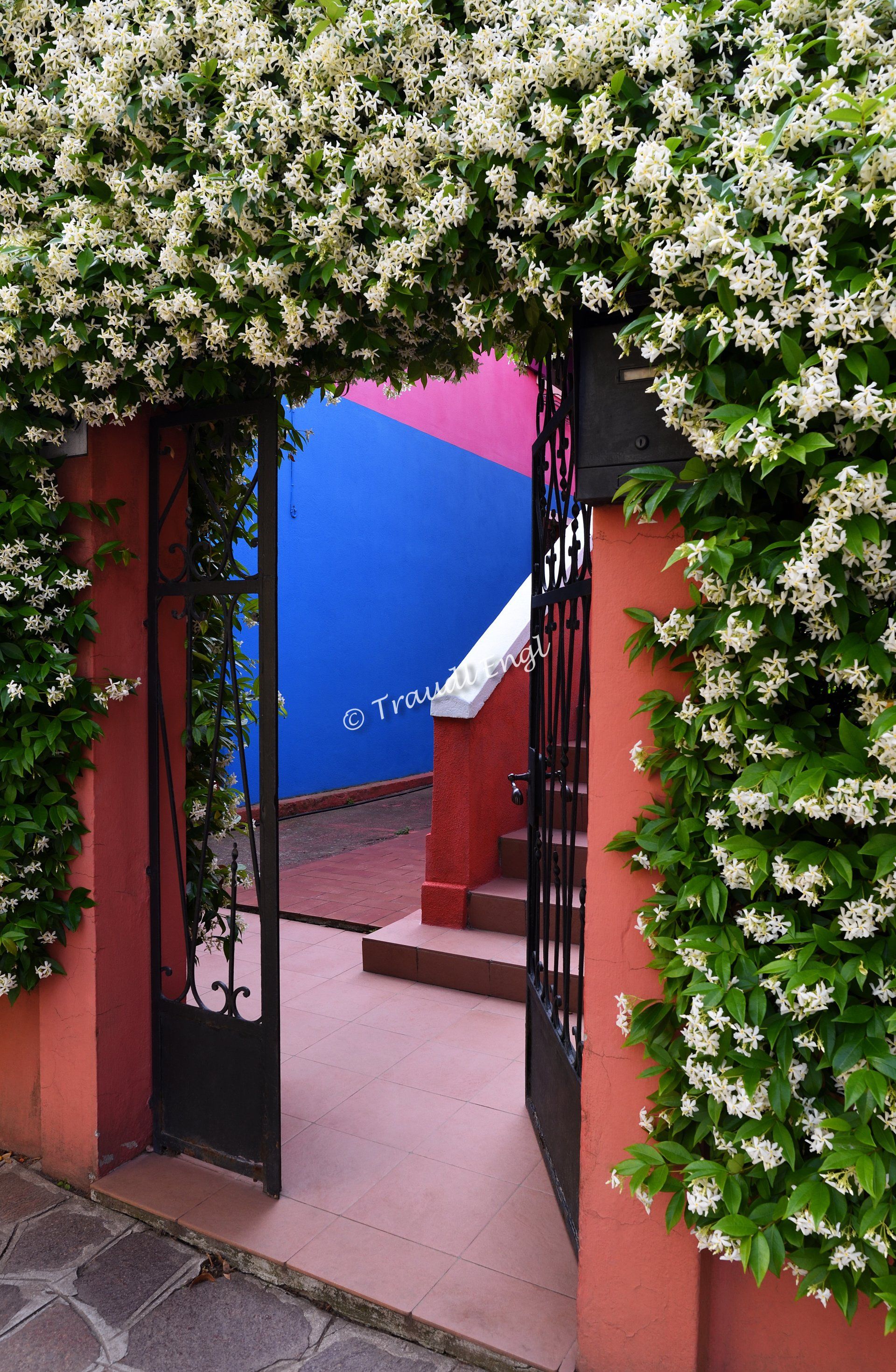 Hauseingang, Fassadendetail, bunter Hauszugang, Eingangsbereich blütenumrankt, Blick durch die schmiedeeiserne Tür, bunt bemalte Wände, Traudl Engl