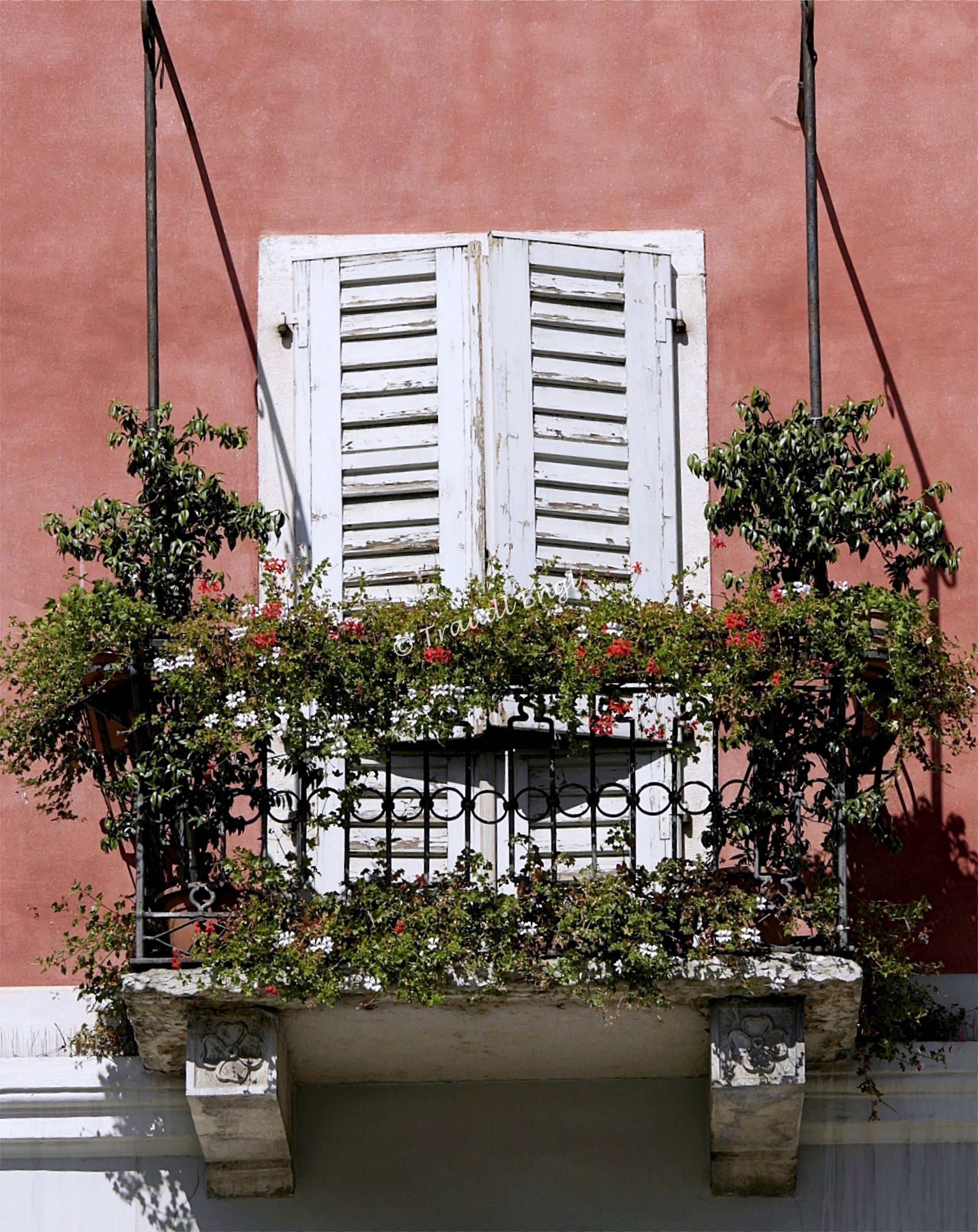 Hausfassade Detail, Fassade mediterraner Anstrich, Balkon pflanzenumrankt, Balkontüre mit geschlossenen Läden, Traudl Engl