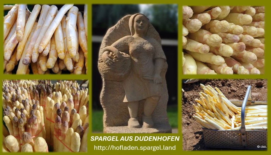 Spargel aus Dudenhofener Hofläden Hinweis Dudenhofener Hofläden