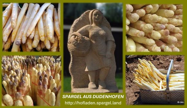Spargel aus Dudenhofener Hofläden