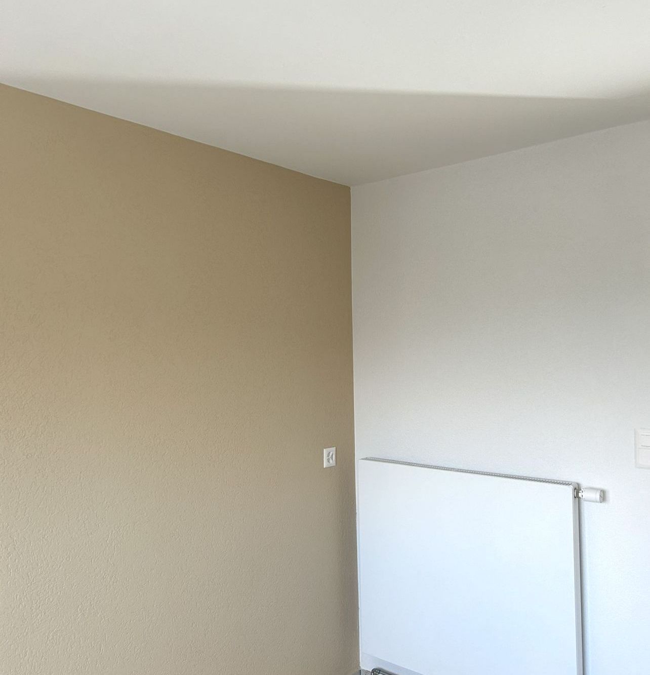 Farbgestaltung Küche in beige in Baselland