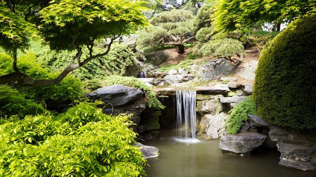 Kaubisch Garten Gartner Gartenbau Gartenarbeit Gartenpflege Beverstedt Bremerhaven