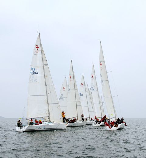 De nombreuses courses à voiles et exercices partout en France