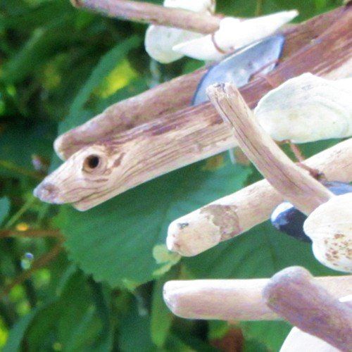 Spass auf dem Ferienhof Moos